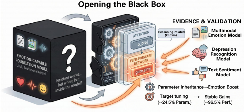 Opening the Black Box